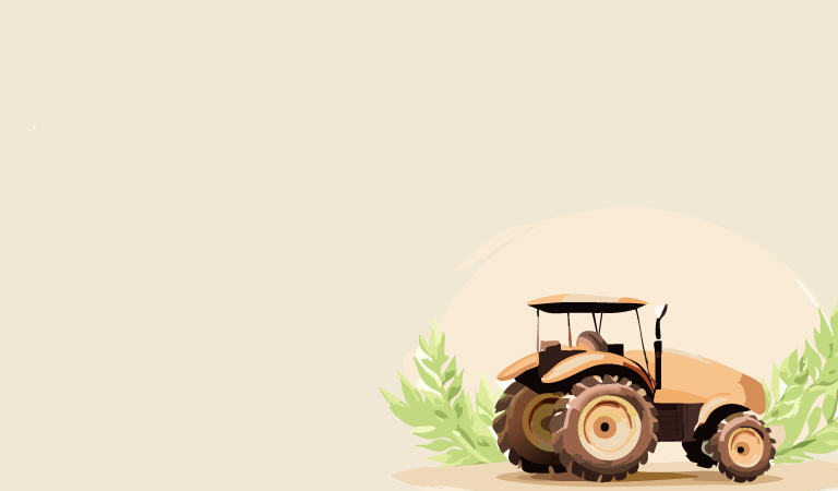 The best Organic Products Online