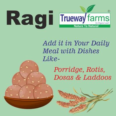 Trueway Farms Organic Finger Millet (ragi) 1.85 Kg