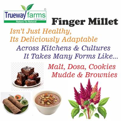 Trueway Farms Organic Finger Millet (ragi) 1.85 Kg