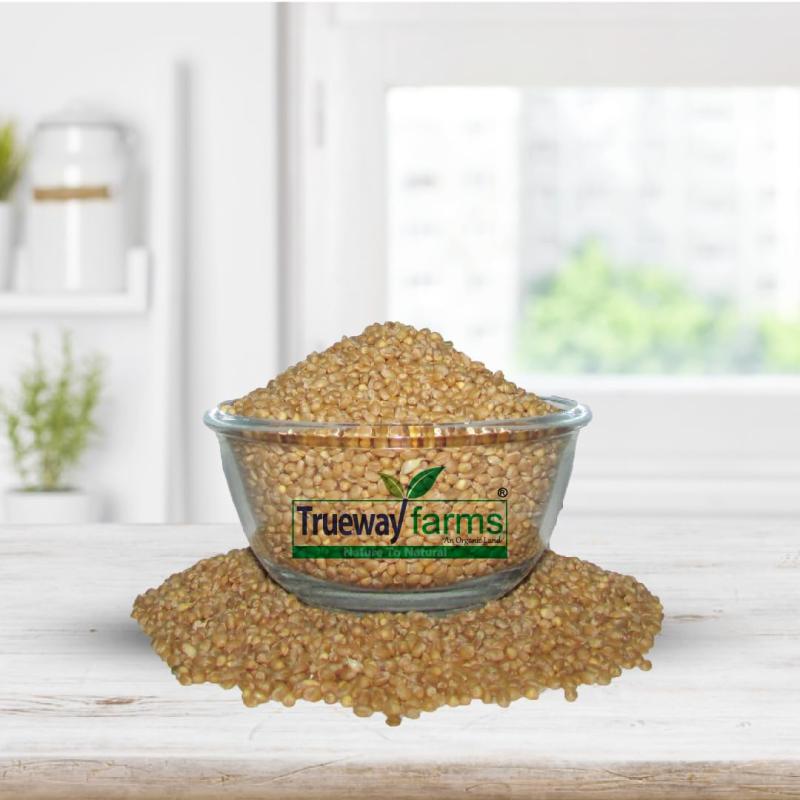 Trueway Farms Organic Sona Moti Wheat (sonamoti Gehu)